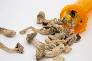 Power of Connected Consciousness: Exploring Quantum Entanglement and Psilocybin's Influence