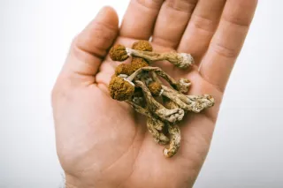Psilocybin and Genetics: Unlocking Our DNA, Expanding Perspectives, and Reducing Autoimmune Diseases