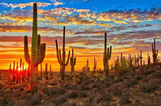 Scottsdale, Arizona