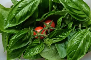 13 Benefits of Growing Your Own Food (And Why You Should Start Today)