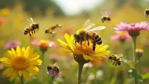 Understanding Africanized Bees Impact on Ecosystems