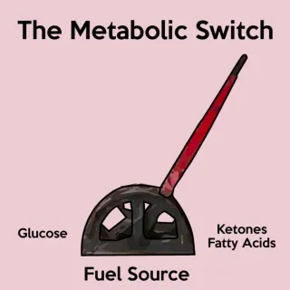 What is the Metabolic Switch and How is it Flipped?