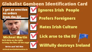Globalist Gombeen Micheal Martin