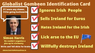 Globalist Gombeen Simon Harris