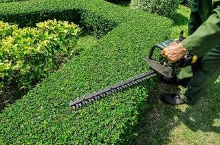 The Importance of Regular Lawn Maintenance in Greenville, NC