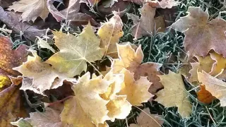 When seasons shift, your brand should too