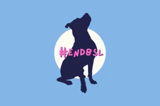 BSL - It's Time for a Change