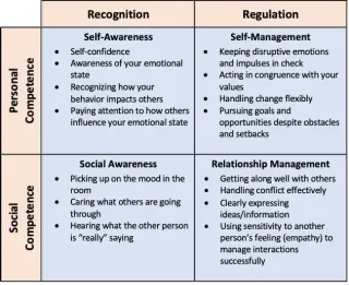 Emotional Intelligence