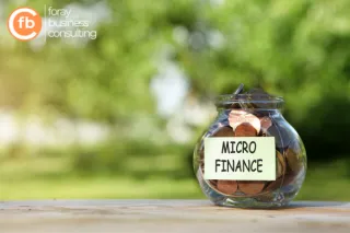 Micro-Term Loans for Small Scale Projects