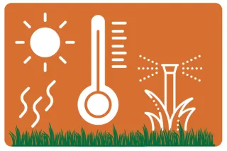 Fall Cleanup Tips 2024