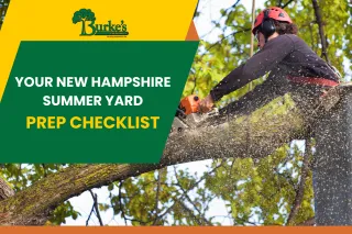 Your New Hampshire Summer Yard Prep Checklist