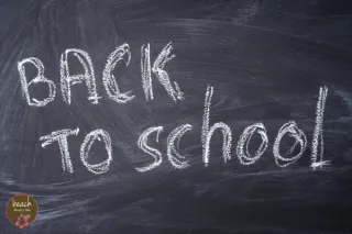 Back to School Skincare Hacks