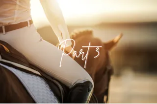 SYMMETRY IN THE SADDLE: PART 3