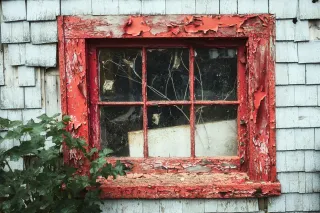 Paint or Replace Windows: Cost-Effective Solutions for Your Home’s Aesthetic and Energy Efficiency