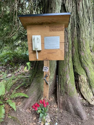 Guestbook for Grief
