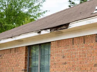 What Can Cause Fascia To Rot