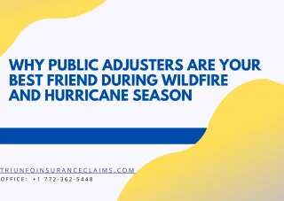 Why Public Adjusters are Your Best Friend During Wildfire and Hurricane Season