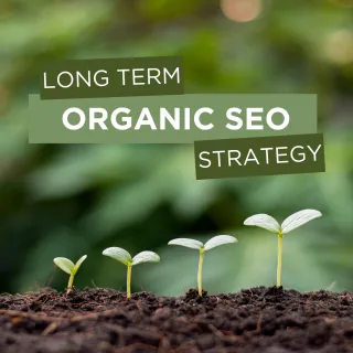 SEO Strategy