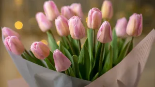 Imelist naistepäeva!