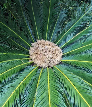 Circle of Love