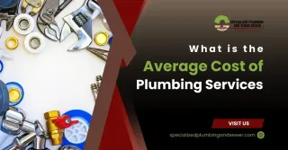 What is the Average Cost of Plumbing Services?