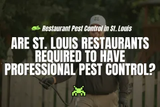 Are St. Louis Restaurants Required to Have Professional Pest Control?