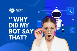 "Why Did My Chatbot Say That?"