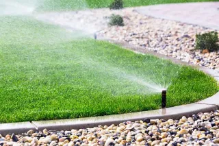 Should I Install Sprinklers in my Yard