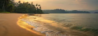 Best Time to Travel