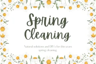 Spring Cleaning