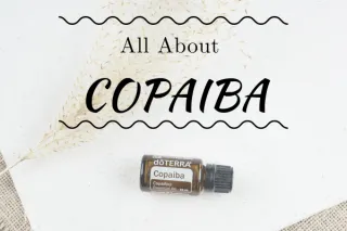 All About Copaiba