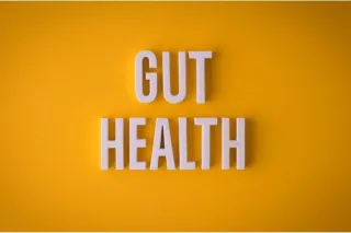 The Importance of Gut Health: Everything You Need to Know