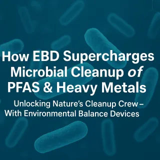 How EBD Supercharges Microbial Cleanup of PFAS & Heavy Metals
