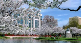 Spring Has Sprung in Huntsville
