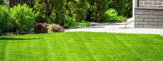 Expert Lawn Maintenance: Why Your Grass Will Thank You