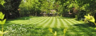 Essential Spring Lawn Care Tips for Your Baltimore Yard