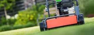 Transform Your Yard: Essential Baltimore Lawn Care Tips