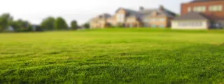 When to Choose Lawn Aeration Over Overseeding