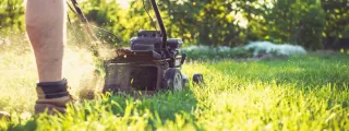 Essential Seasonal Lawn Care Tips for Baltimore Residents