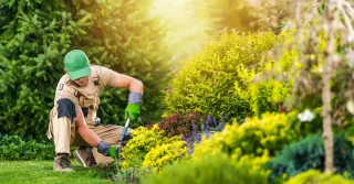 Essential Guide to Landscape Maintenance in Baltimore | HMD Landscaping