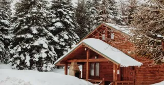 Winter Landscaping: Protecting Your Yard in Maryland | HMD Landscaping