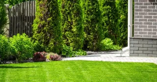 Effective Lawn Weed Control Techniques in Maryland | Weed‑Free Lawns