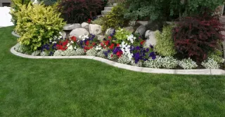 Eco‑Friendly Landscaping Ideas for Baltimore Homes | Sustainable Yards