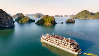 Cruise Cabin Showdown: Which One's Right for You?


