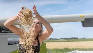 Oogstfeest 18 oktober – vier het mee in Holwert!