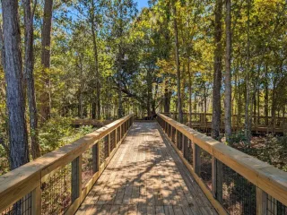 🌳 Dogwood Park: Tallahassee’s Hidden Gem for Nature, Play, and Relaxation