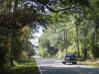 🌿 Explore the Big Bend Scenic Byway – Tallahassee’s Nature Lover Paradise!