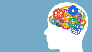 Psychological Capital – is it time we take wellbeing seriously?