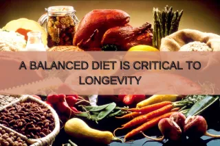 Why Eating A Balanced Diet Is Critical To Longevity?