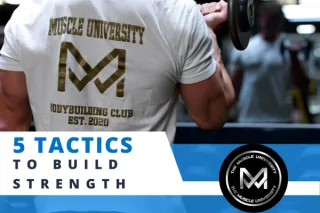 5 Tactics To Build Hercules Strength